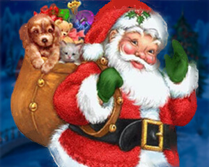 Regali Di Natale Per Persone Anziane.Regalare Un Cucciolo A Natale Si O No Vi Presento Il Cavalier King Charles Spaniel